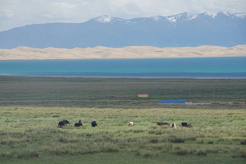 Train to Lhasa - Qinghai Lake
