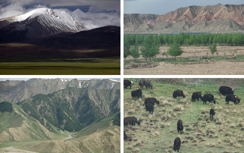 train to Tibet