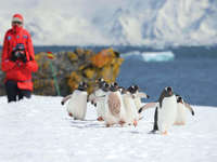 The frozen continent