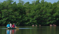 Laguna Guanaroca