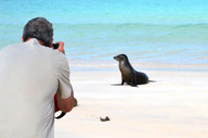 Getting up close to a sea lion