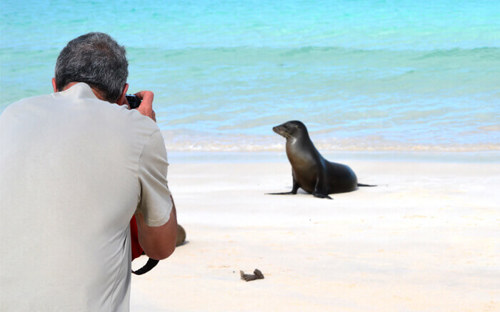 Getting up close to a sea lion