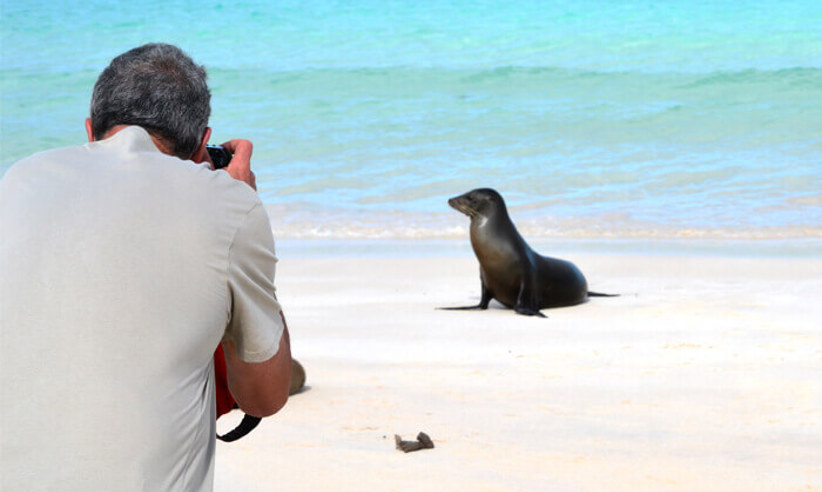 Getting up close to a sea lion