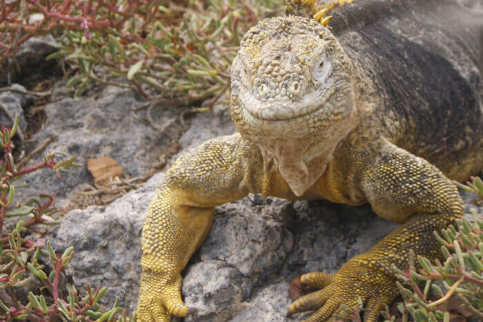 Experience the unique wildlife with expert naturalist guides