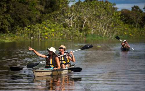 Guests paddle through lush rainforest waterways on a guided kayaking adventure in the Amazon. 