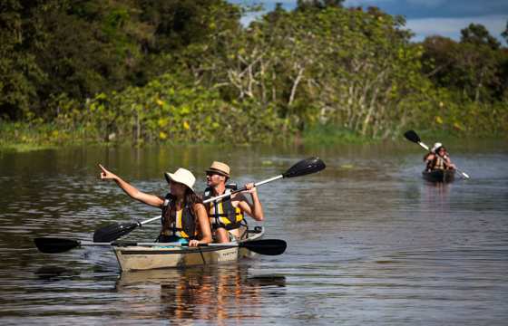 Guests paddle through lush rainforest waterways on a guided kayaking adventure in the Amazon. 