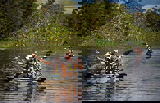 Kayaking adventures