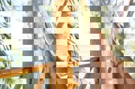 Mahakel - relaxing.jpg