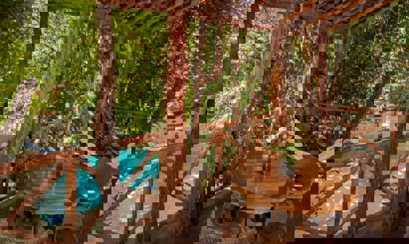 Mahekel - tree house.jpg