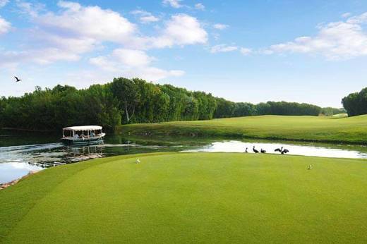 Golf course.jpg