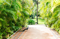 Esencia gardens.jpg