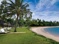 Beachfront view with palm trees, sun loungers, and blue skies at Tivoli Eco Resort in Bahia, Brazil. 