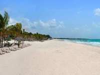 Wide white sand beach lined with palm trees and turquoise waters at Catalonia Playa Maroma Resort, Riviera Maya, Mexico. 