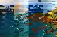 Sea shot.jpg