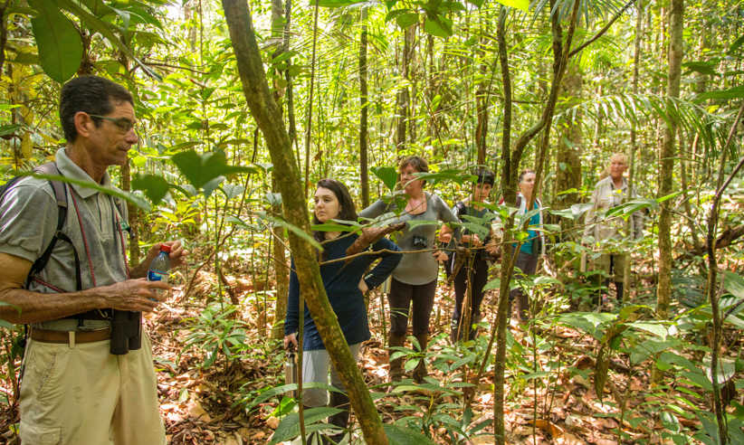 Expert guide leading rainforest walk in the Amazon with Tucano Cruise guests exploring flora under jungle canopy in Brazil. 
