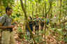 Discover the rainforest with expert guides
