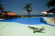 mainpool-1_2_orig.jpg