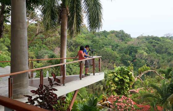 Elevated jungle deck at Si Como No Resort, overlooking tropical forest in Manuel Antonio, Costa Rica. 