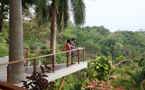 View nature