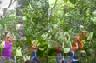 Yoga in the forest