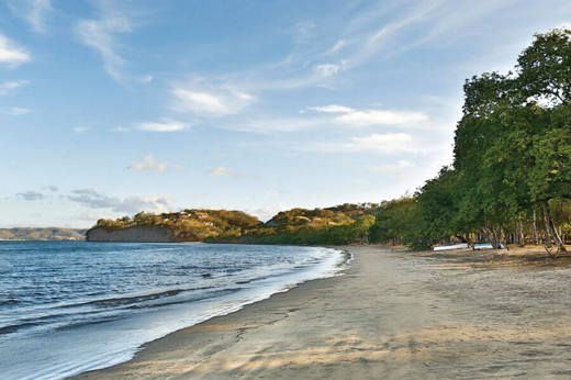 El-Mangroove-TheBeach00006.jpg
