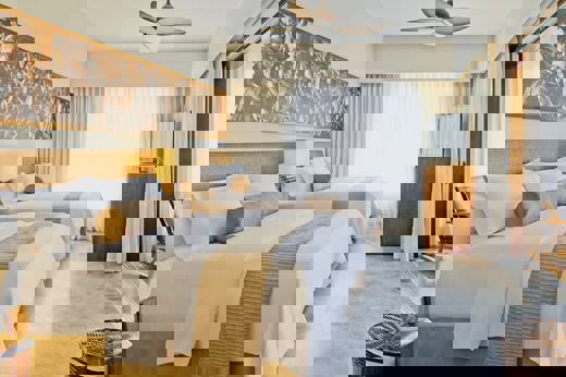 NestoSuite_01.jpg