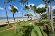 Tamarindo Beach garden with palm trees and ocean view in Costa Rica. 