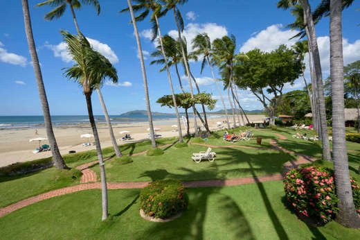 Tamarindo Beach garden with palm trees and ocean view in Costa Rica. 