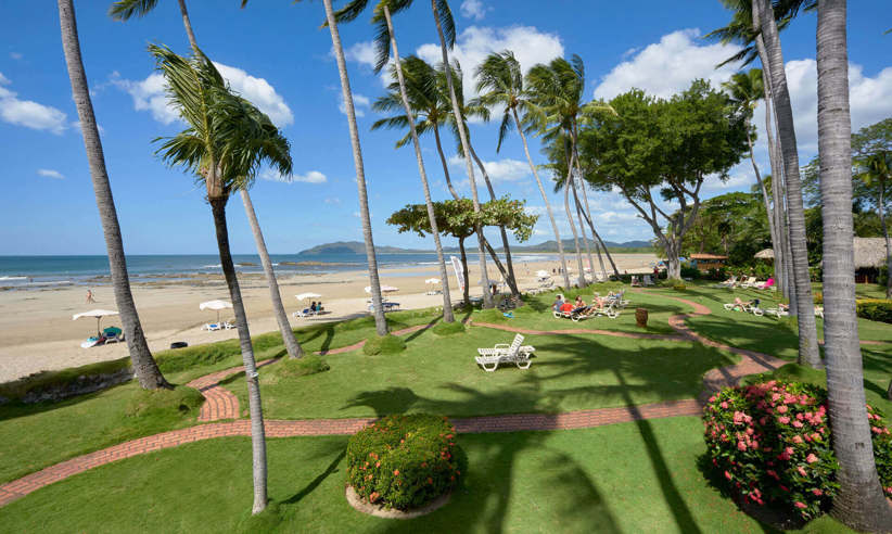 Tamarindo Beach garden with palm trees and ocean view in Costa Rica. 