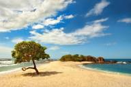 Beach2.jpg