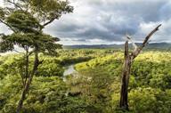 A sweeping view of the Nicoya Peninsula shows rivers winding through lush green valleys under a dramatic sky.