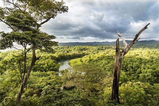 A sweeping view of the Nicoya Peninsula shows rivers winding through lush green valleys under a dramatic sky.