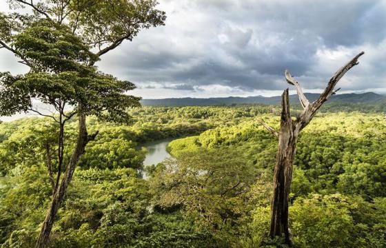 A sweeping view of the Nicoya Peninsula shows rivers winding through lush green valleys under a dramatic sky.
