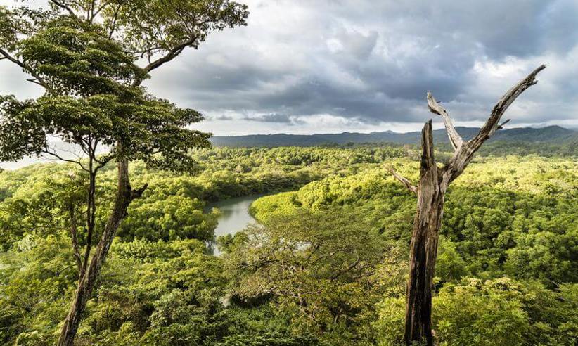 A sweeping view of the Nicoya Peninsula shows rivers winding through lush green valleys under a dramatic sky.