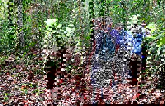 Hiking.jpg
