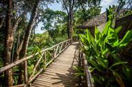 walkway.jpg