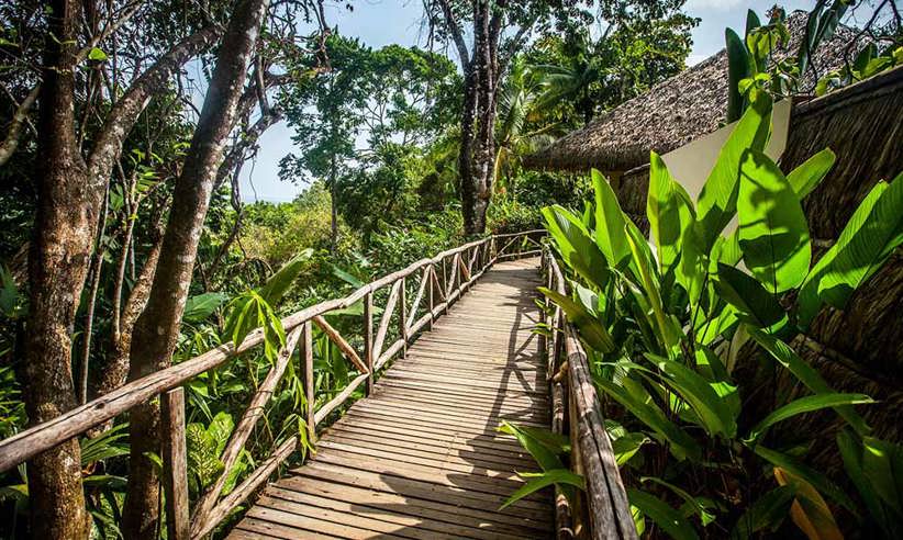 walkway.jpg