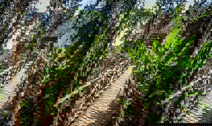 walkway.jpg