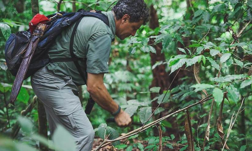 Expert guide navigating through the dense rainforest, pointing out flora and fauna to visitors. 