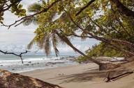 Palm-fringed trees provided shade over golden sand in this peaceful cove along Costa Rica's Papagayo coast. 