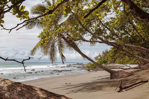 Palm-fringed trees provided shade over golden sand in this peaceful cove along Costa Rica's Papagayo coast. 