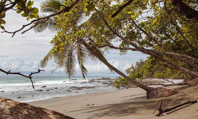 Palm-fringed trees provided shade over golden sand in this peaceful cove along Costa Rica's Papagayo coast. 