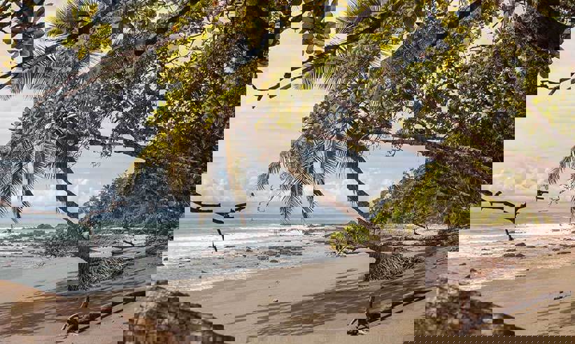 Palm-fringed trees provided shade over golden sand in this peaceful cove along Costa Rica's Papagayo coast. 