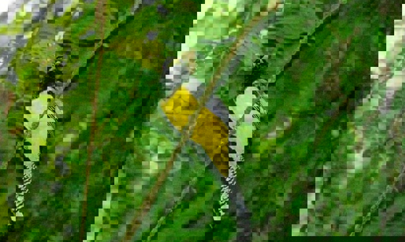 cara-njz98kh9d8e3qgz64mtb7pty3bduq34xpxjwp7k2d4.jpeg