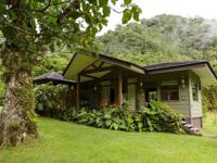  Peaceful suite surrounded by lush vegetation and rolling hills on Costa Rica's cloud forest. 