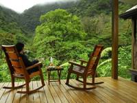 Guest relaxing on wooden terrace surrounded by lush cloud forest in Bajos del Toro. 