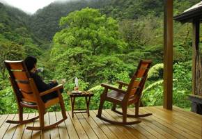 Guest relaxing on wooden terrace surrounded by lush cloud forest in Bajos del Toro. 