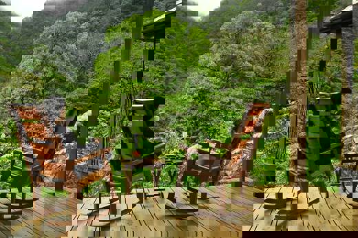 Guest relaxing on wooden terrace surrounded by lush cloud forest in Bajos del Toro. 