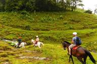 Horsebackriding 1 Orig