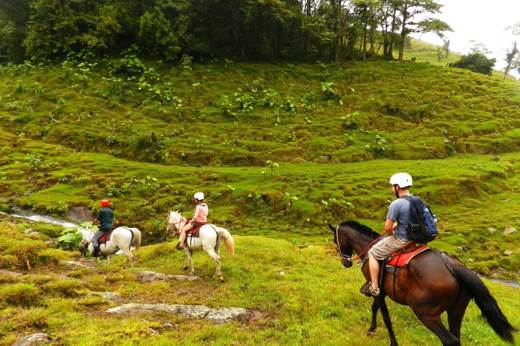 Horsebackriding 1 Orig
